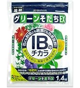 Amazon | 花ごころ さぼてん多肉植物の土 5l | 用土